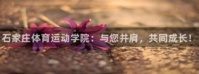 yy易游官方正版app娱乐下载：石家庄体育运动学院：