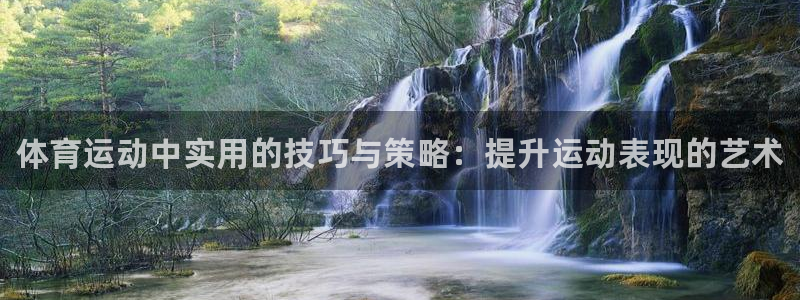 yy易游官网下载是干嘛的公司：体育运动中实用的技巧与