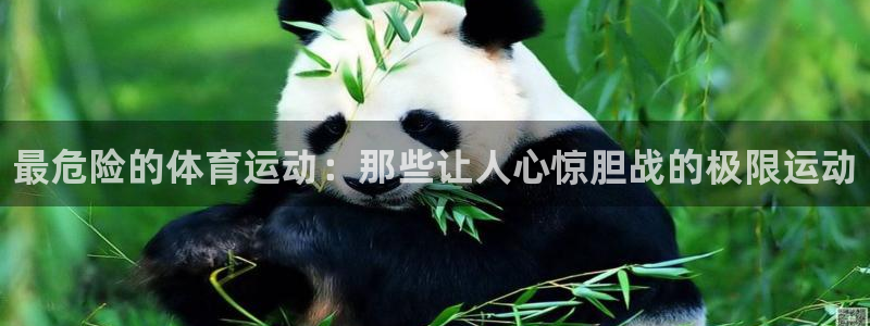 yy易游官方正版app娱乐代理怎么样：最危险的体育运动：那些