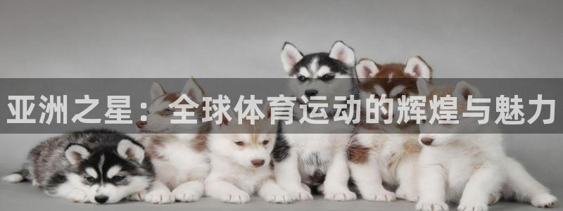 yy易游官方集团官网