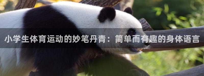 yy易游官网下载娱乐：小学生体育运动的妙笔丹青：简单