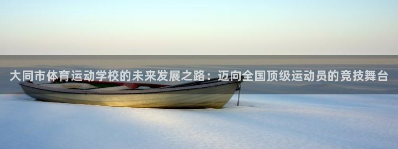 yy易游官方正版app集团logo：大同市体育运动学校的未来