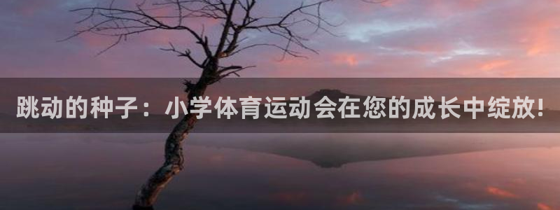 yy易游官方正版app集团简介：跳动的种子：小学体育