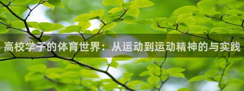 yy易游官方正版app科技：高校学子的体育世界：从运动到运动