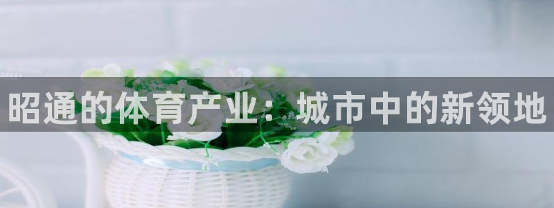 yy易游官方正版app娱乐网站：昭通的体育产业：城市中的新领