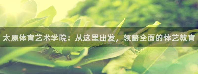 yy易游官方正版app新能源：太原体育艺术学院：从这里出发，