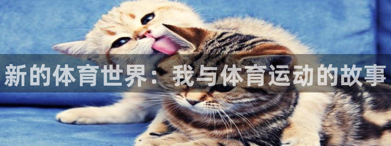 yy易游官方正版app官方：新的体育世界：我与体育运