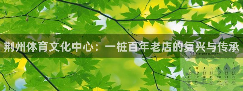 yy易游官方正版app集团简介