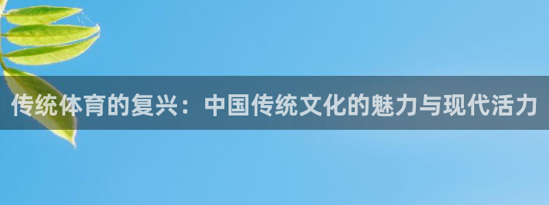 yy易游官方正版app娱乐首页官网下载：传统体育的复