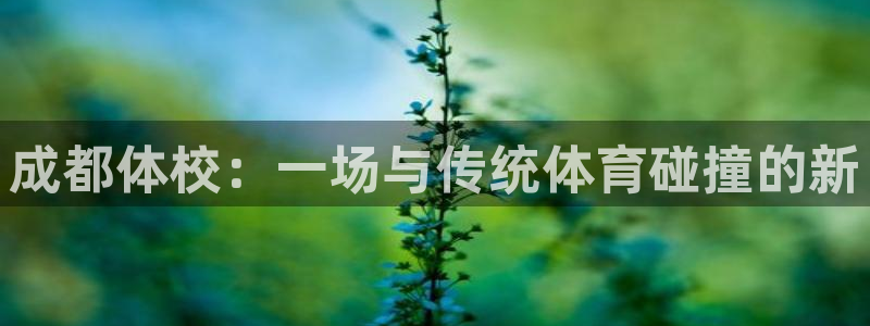 yy易游官方正版app娱乐40996：成都体校：一场与传统体