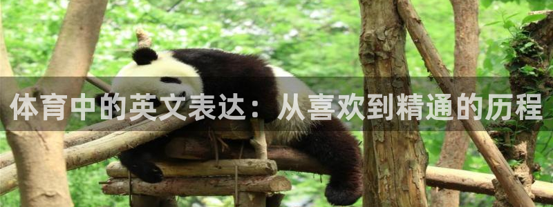 yy易游官网下载平台是正规平台吗安全吗：体育中的英文表达：从
