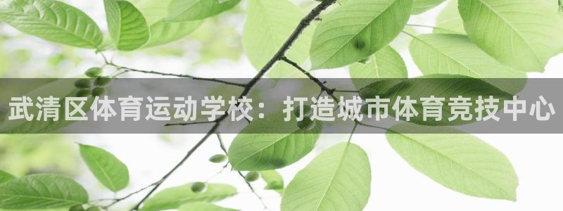 yy易游官方正版app娱乐代理怎么样