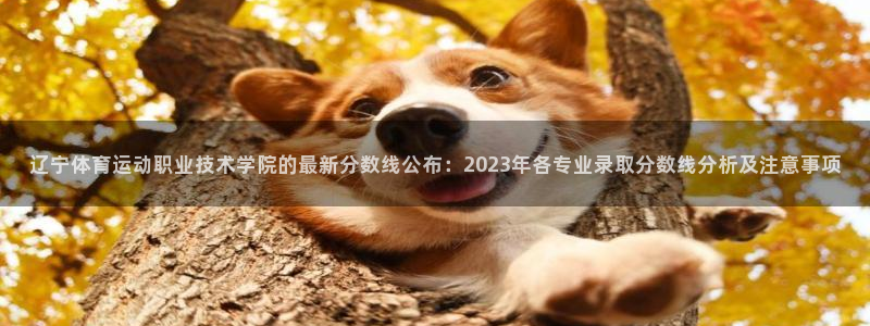 yy易游官方正版app神州