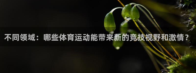 yy易游官网下载招商电话地址：不同领域：哪些体育运动能带来新