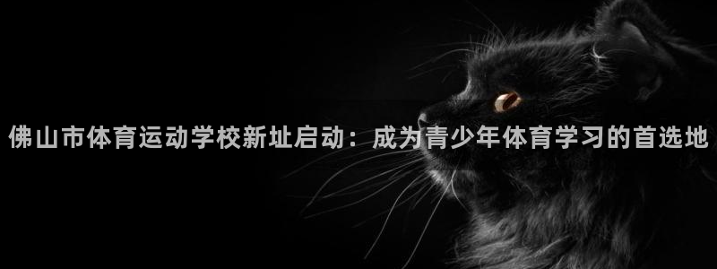 yy易游官网下载招商电话号码查询：佛山市体育运动学校新址启动