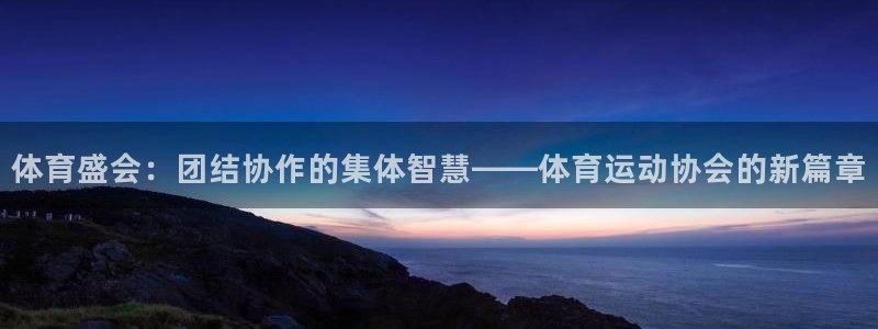 yy易游官方正版app集团简介：体育盛会：团结协作的