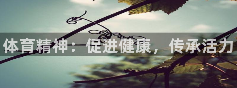 yy易游官方正版app官网