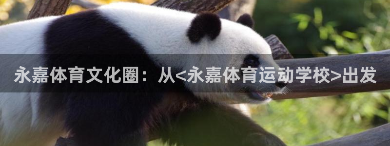 德国yy易游官方正版app集团：永嘉体育文化圈：从<