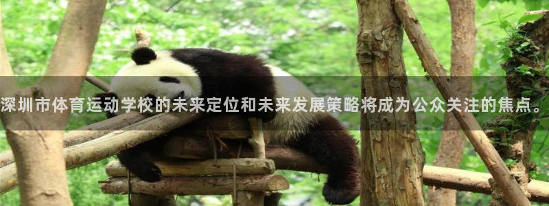 yy易游官网下载是干嘛的公司：深圳市体育运动学校的未