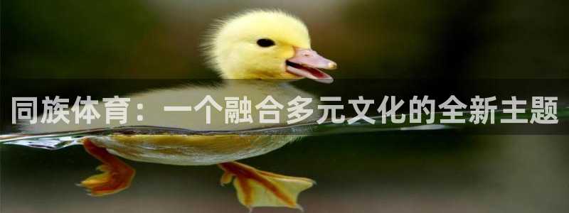 yy易游体育怎么样知乎