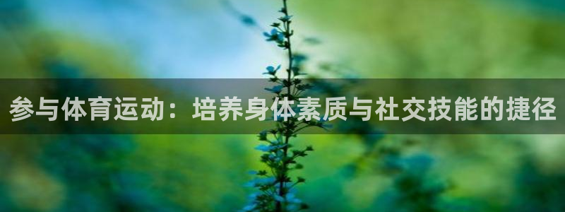 yy易游体育米乐：参与体育运动：培养身体素质与社交技能的捷径