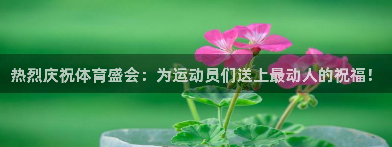 yy易游体育是什么