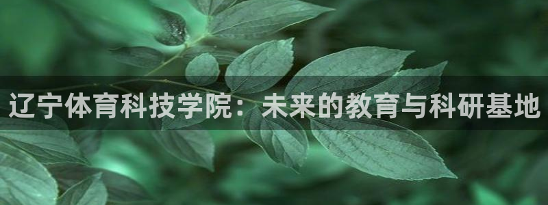 yy易游体育平台：辽宁体育科技学院：