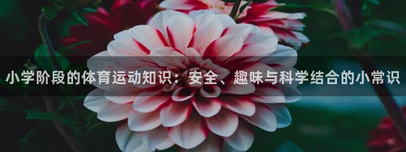  yy易游体育平台能提现吗是真的吗：小学阶段的体育运动知识：安