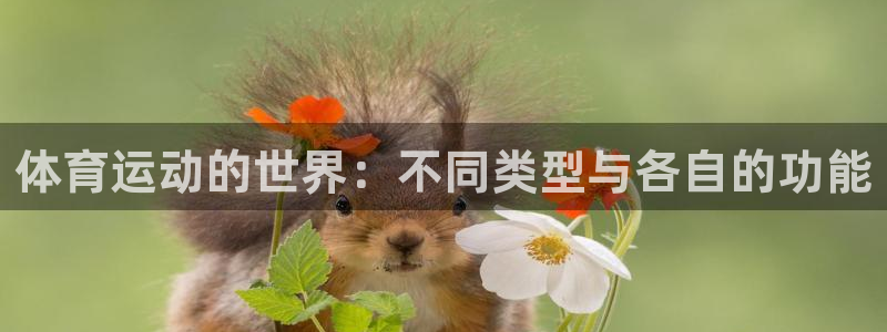 yy易游体育贴吧：体育运动的世界：不同类型与各自的功能