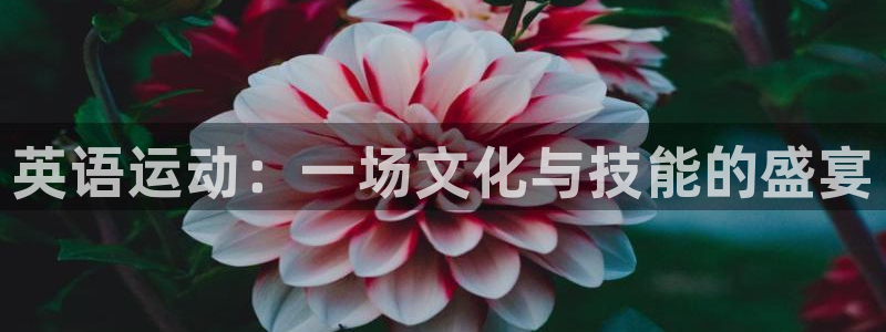 yy易游体育平台能提现吗：英语运动：