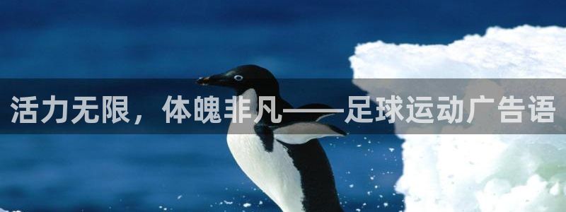 yy易游体育app最新版本更新内容是